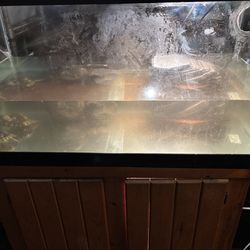 40 gallon breeder”sump” turtle tank and accessories