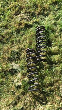 Infiniti J30 Rear Springs