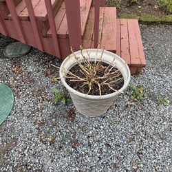 Garage / Estate Sale