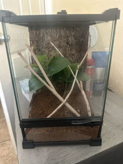 Reptile Terrarium