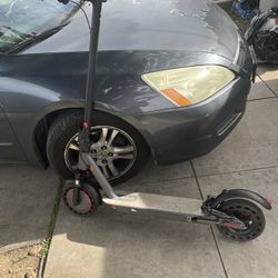 Max shot 500w Electric Scooter 