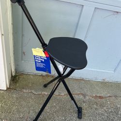 Cane  With Folding Seat