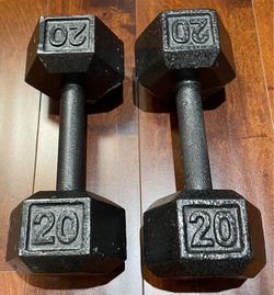 20 lb Pound Hex Weight Dumbbell Pair Cast Iron Hexagon Pre-Owned