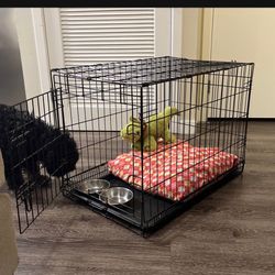 Dog Kennel 