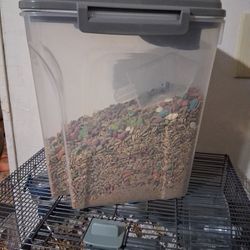 Free Guinea Pig Food