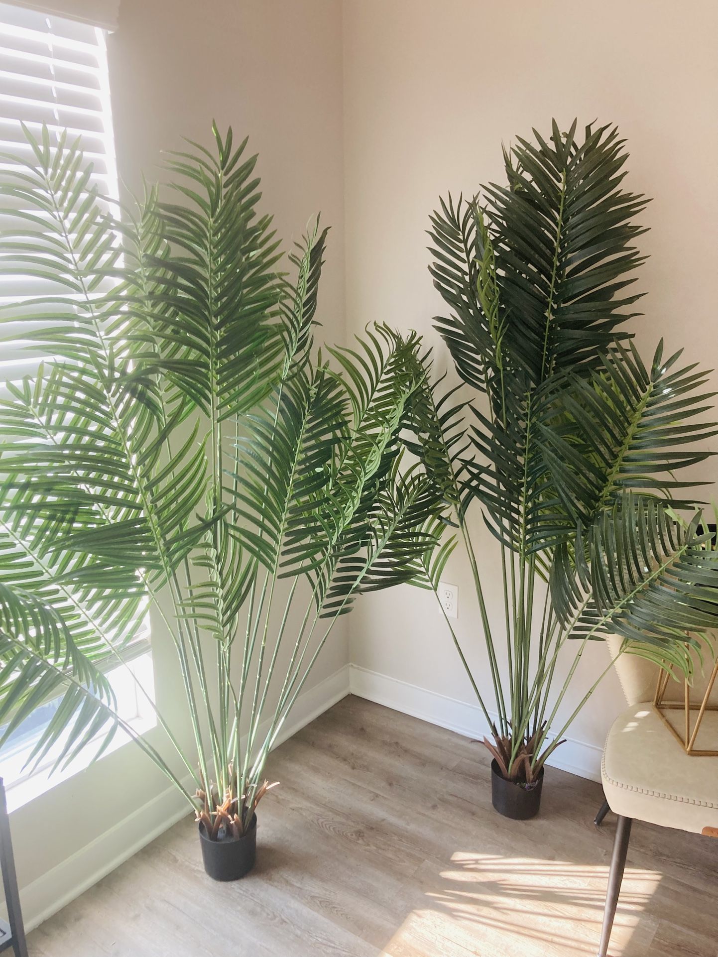 Fake Plants