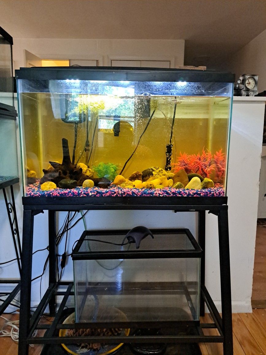 20-29 Gallon High Fish Tank