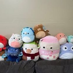 New Squishmallows (TAGS ON)