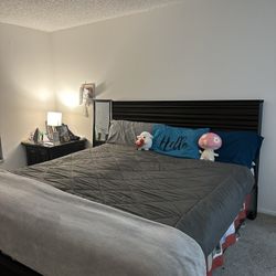 King Bedroom Set + Couch – $650 OBO (Moving Sale!)