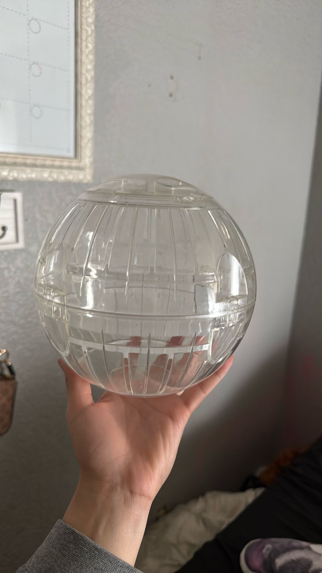 hamster/guinea pig ball