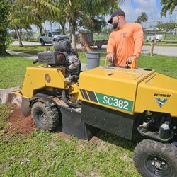 Stump Grinding 