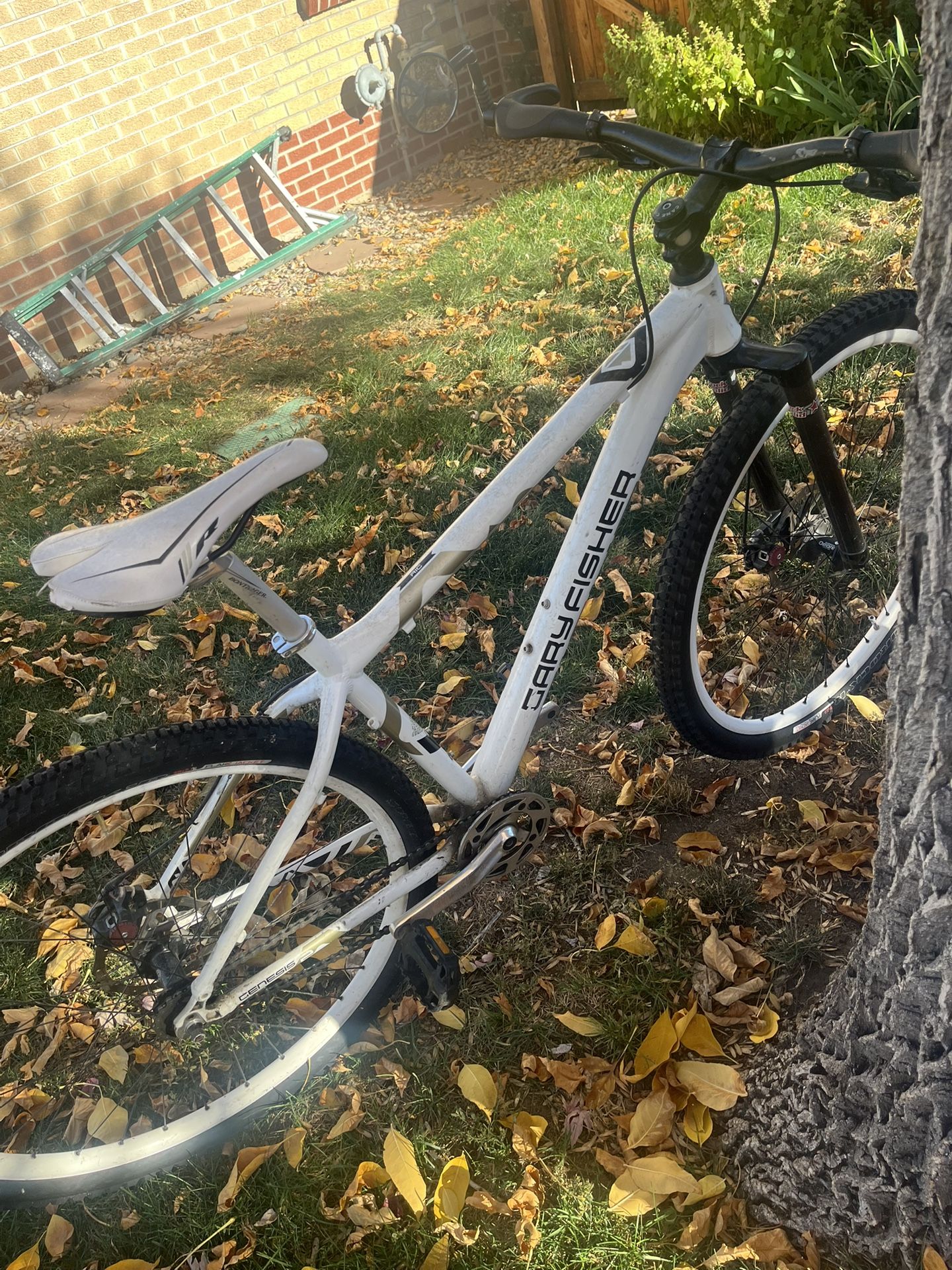 Men’s Bike -Gary Fisher