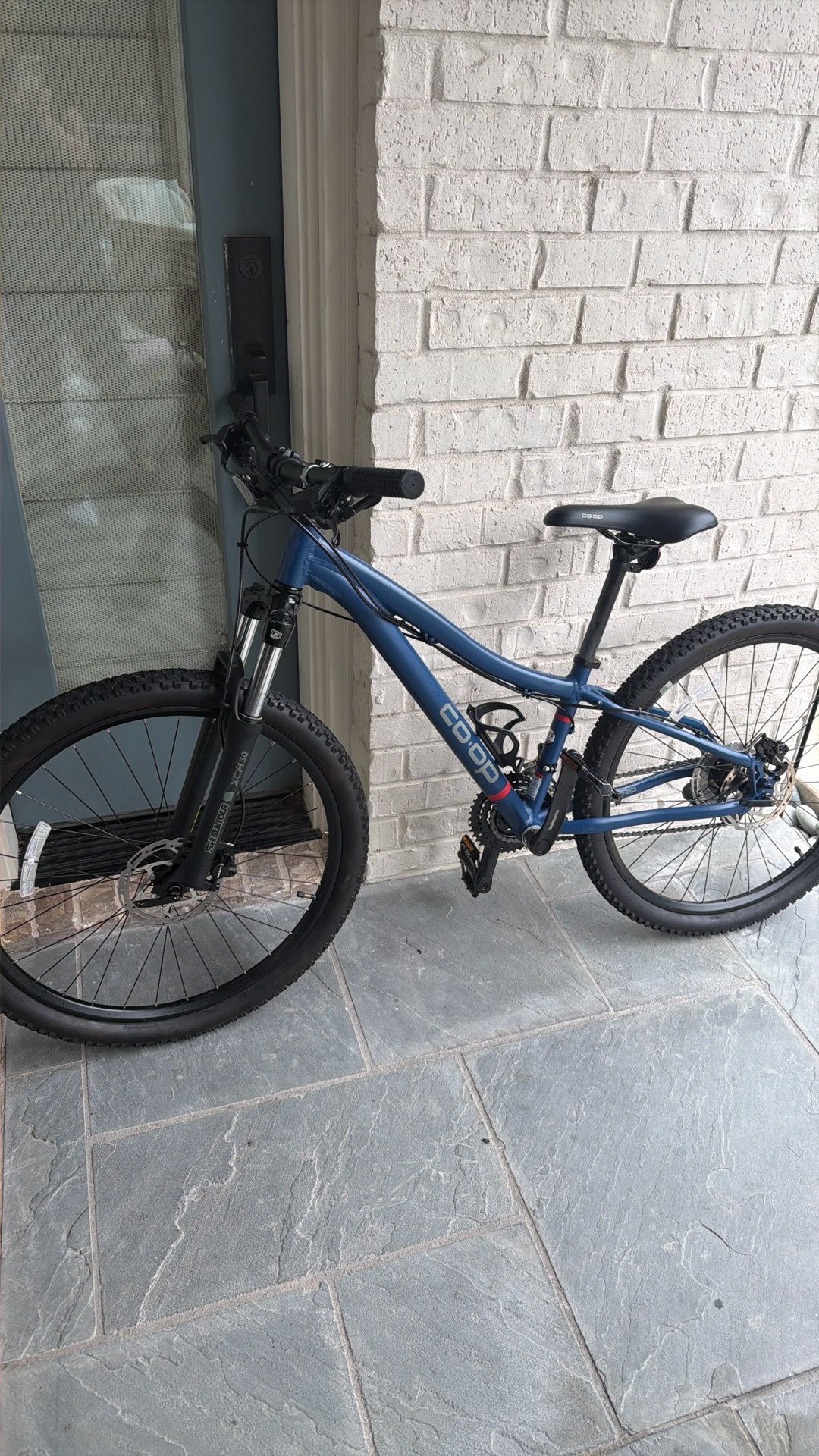 REI CO-OP Kids Mountain Bike
