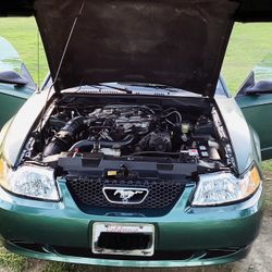 2000 Ford Mustang