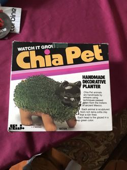 Chia Pet