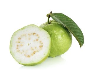 Guava Plant For Sale