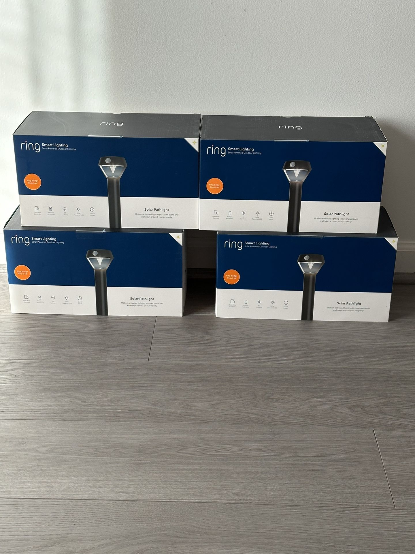 Ring Solar Pathlight Smart Lighting