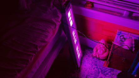 UV Grow Light - CALIFORNIA LIGHTWORKS SOLAR SYSTEM 750