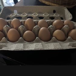 Eggs 🥚 