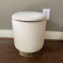 Foot Stool with Storage