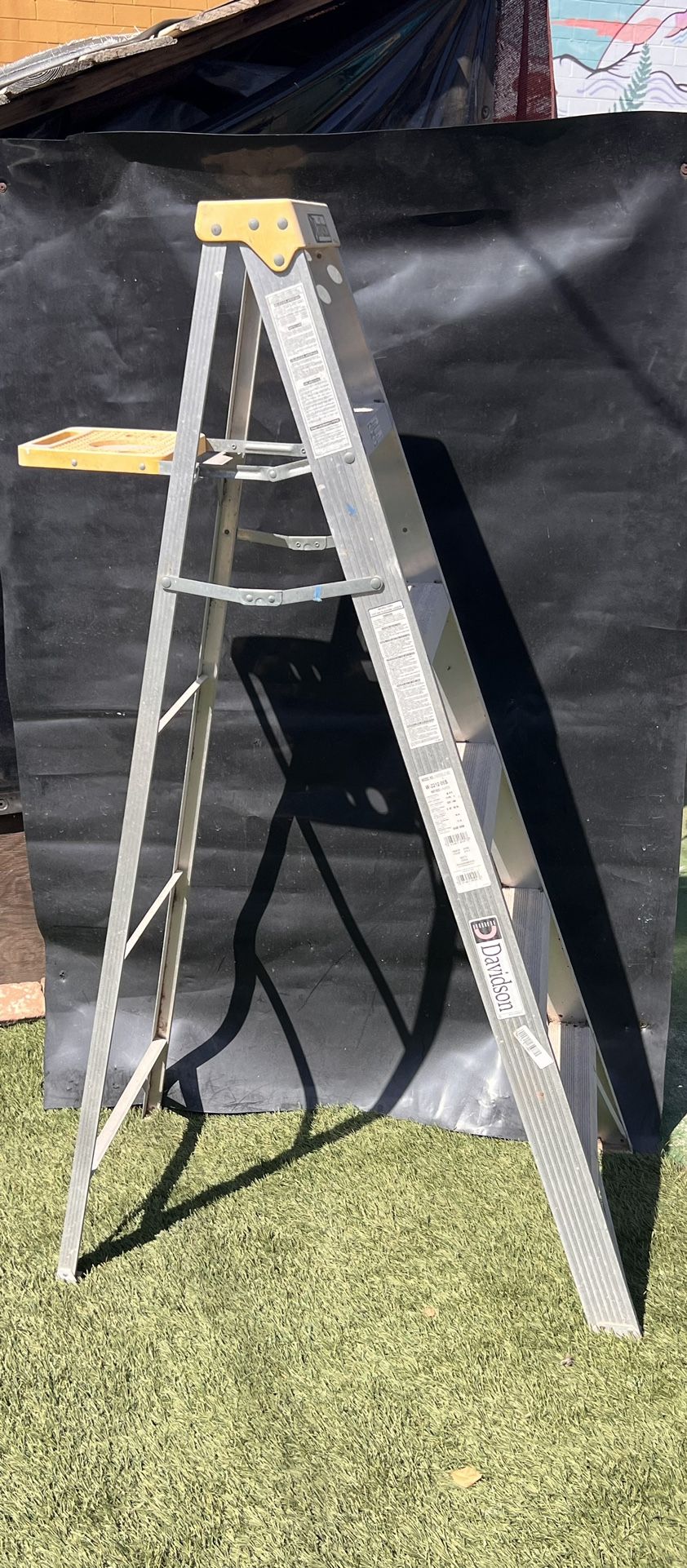 6 FT Ladder