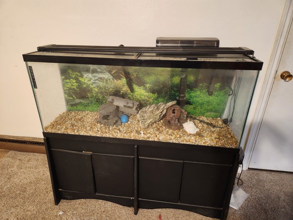 Fish Tank