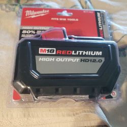 Milwaukee  12 0 Battery 