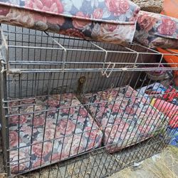 Free DOG Crate