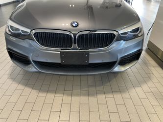 BMW Grills