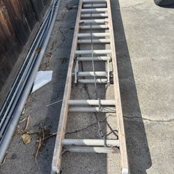 Extension Ladder 