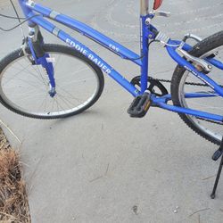 Eddie Bauer Bike
