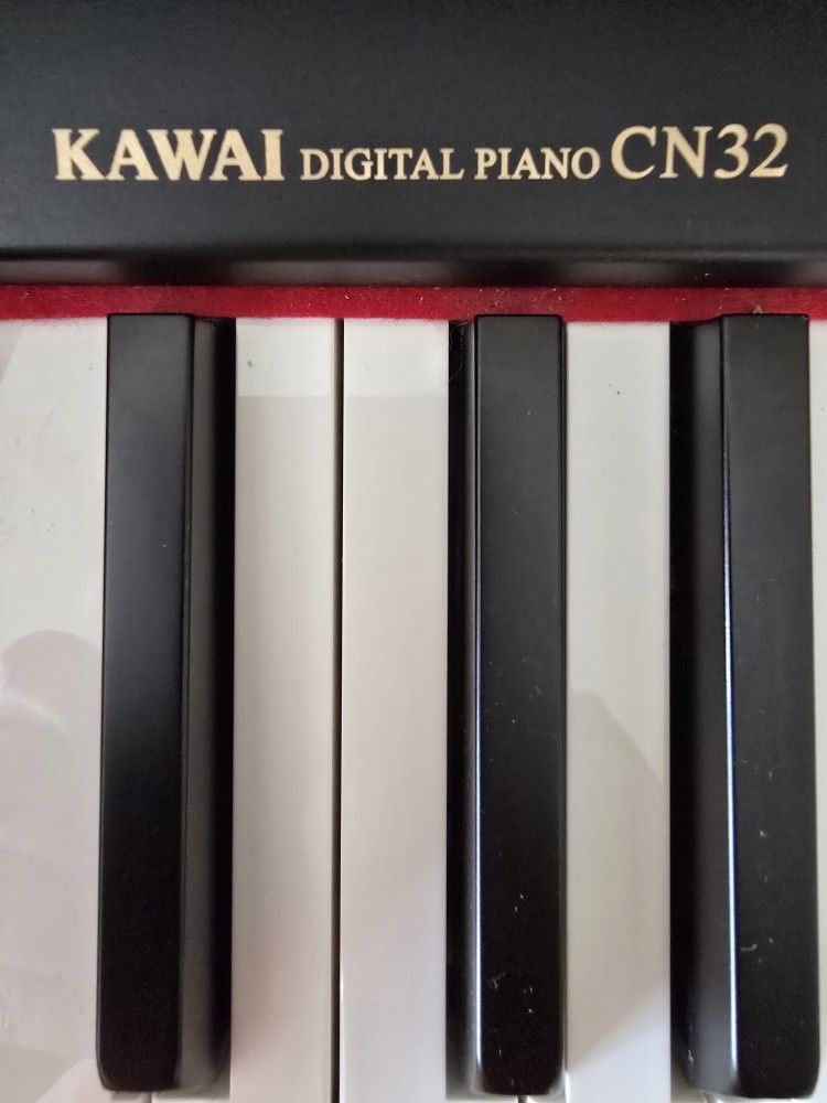 Kawai Digital Piano 