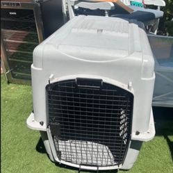 Kennel 