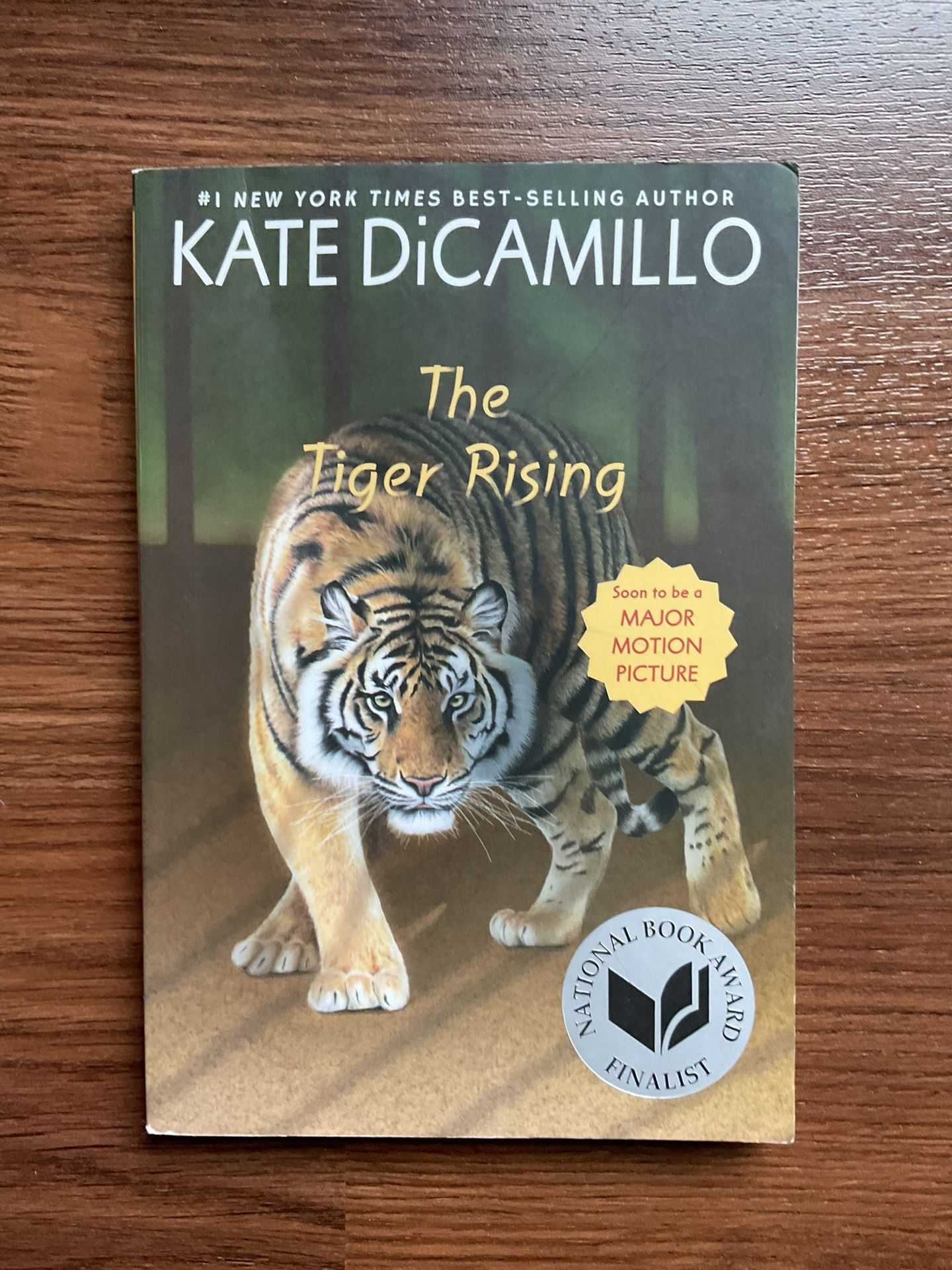 The Tiger Rising by Kate DiCamillo (2015, Trade Paperback) - Like New