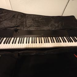 Casio CDP-120 with Keyboard Case and A/C  adapter.