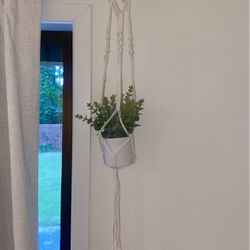 Hanging Plant Holder 