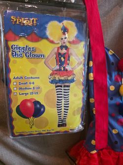 Clown Costume