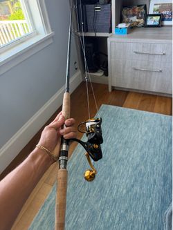Penn slammer on a tsunami rod