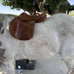 Devoucoux Biarritz Jumping Saddle