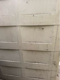 Plastic shed