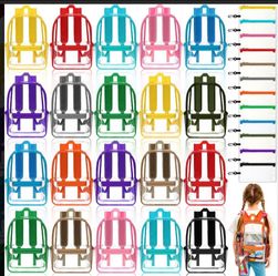 Clear backpack