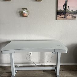 Adjustable Desk (Sitting And Standing)