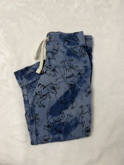 Dinosaur Sweat Pants