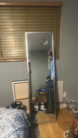 Mirror  20” Wide  66 Long 