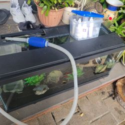 Fish Tank With Accessories 