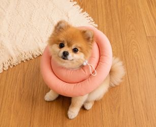Soft Cones for Medium  Cats and Dogs (NEW)