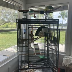 Cage