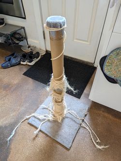 FREE Cat Scratcher