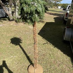 Christmas Palm Tree 