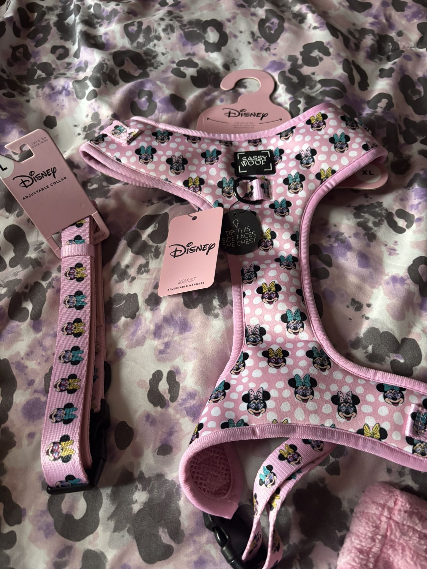 Minnie Mouse Harness & Collar